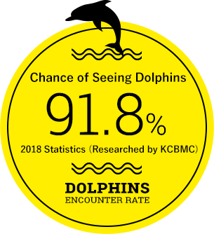 Chance of Seeing Dolphins 91.8%